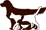 Logo Tierarzt Flick